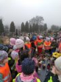 IMG_20181107_110652